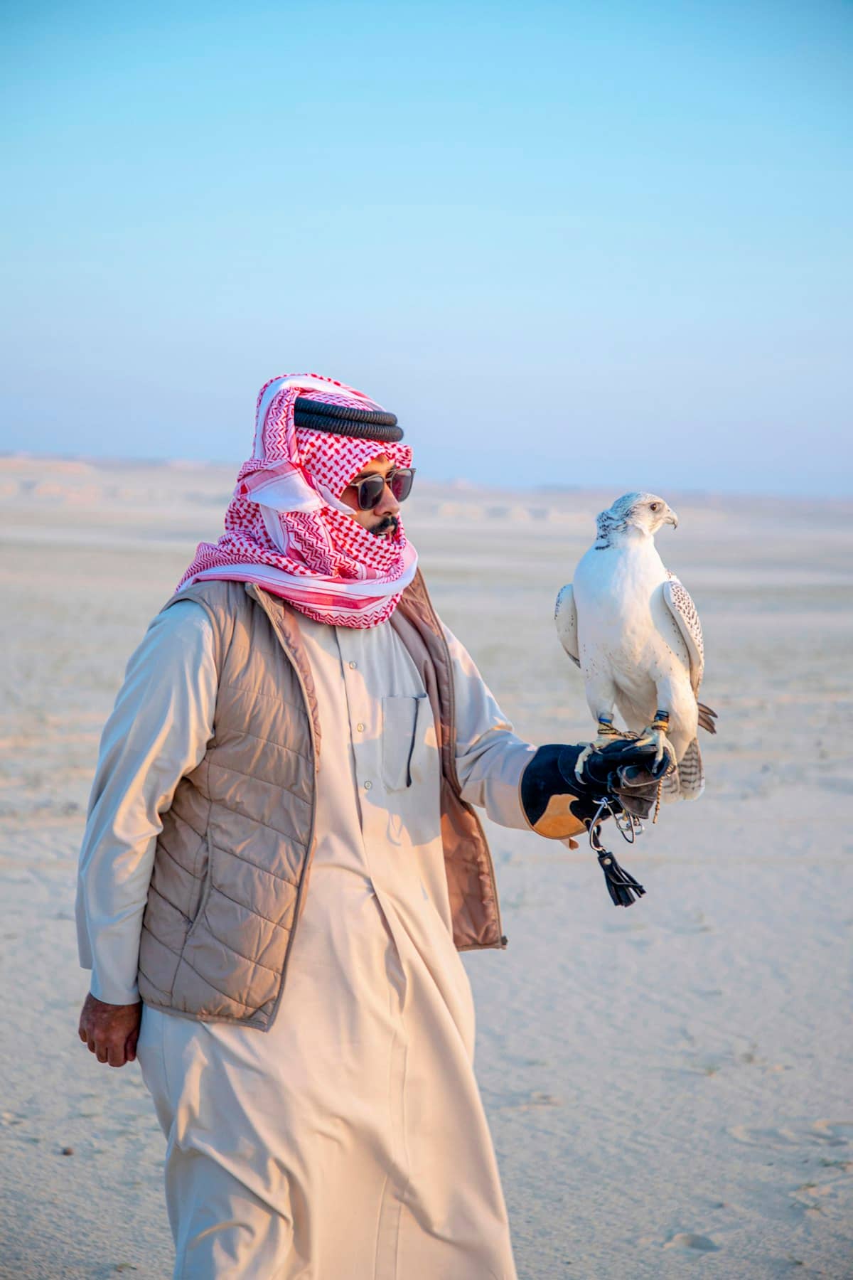 قصة صقّار